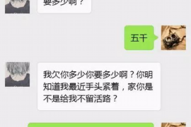 衡东债务清欠服务